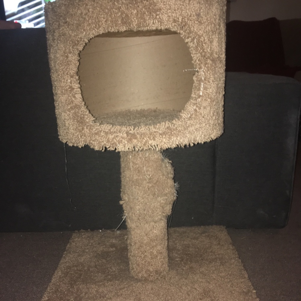 Cat scratching post
